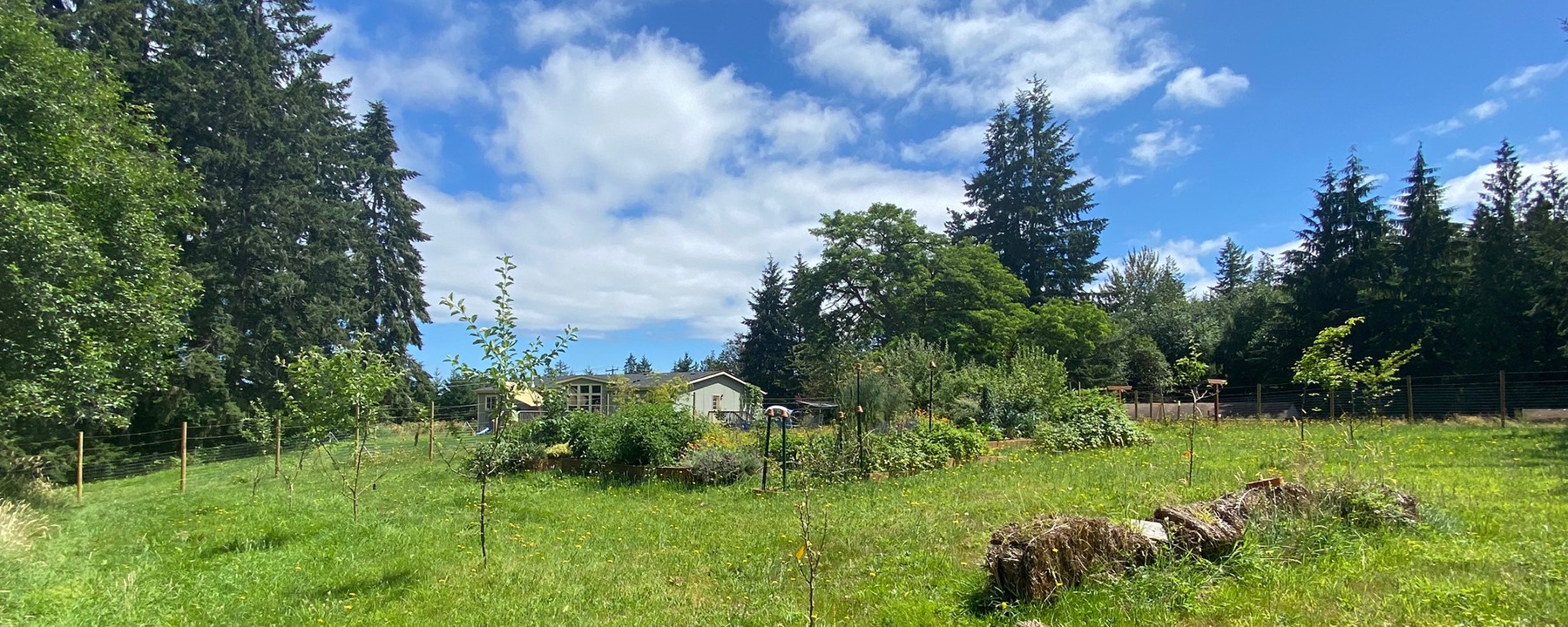 Olalla Ridge Farm | Olalla WA