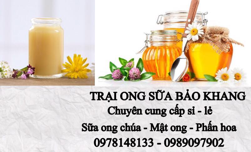 Trung tâm Thuốc Dân Tộc - 18. Củ dong riềng Củ rong diềng hay còn gọi ...
