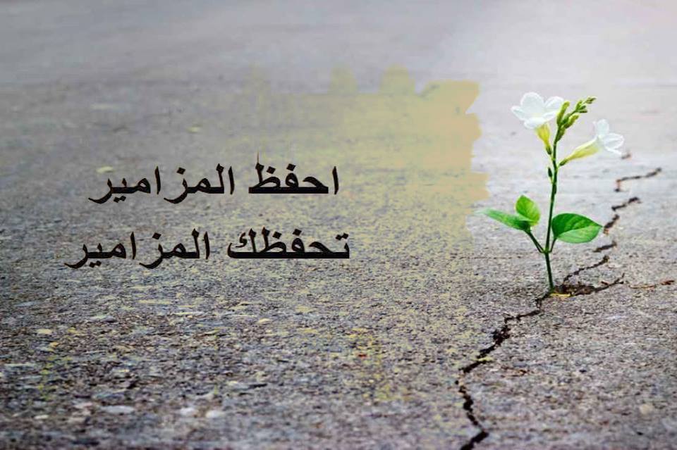 Saint - تساعية مار إلياس اليوم الثاني أيها النبيّ المجيد إيليّا، لقد ...