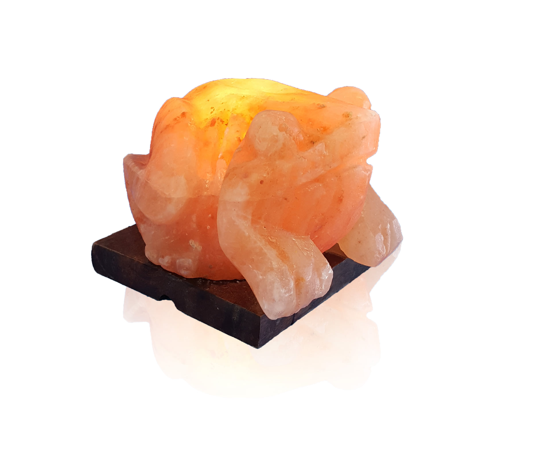Himalayan Salt Cart