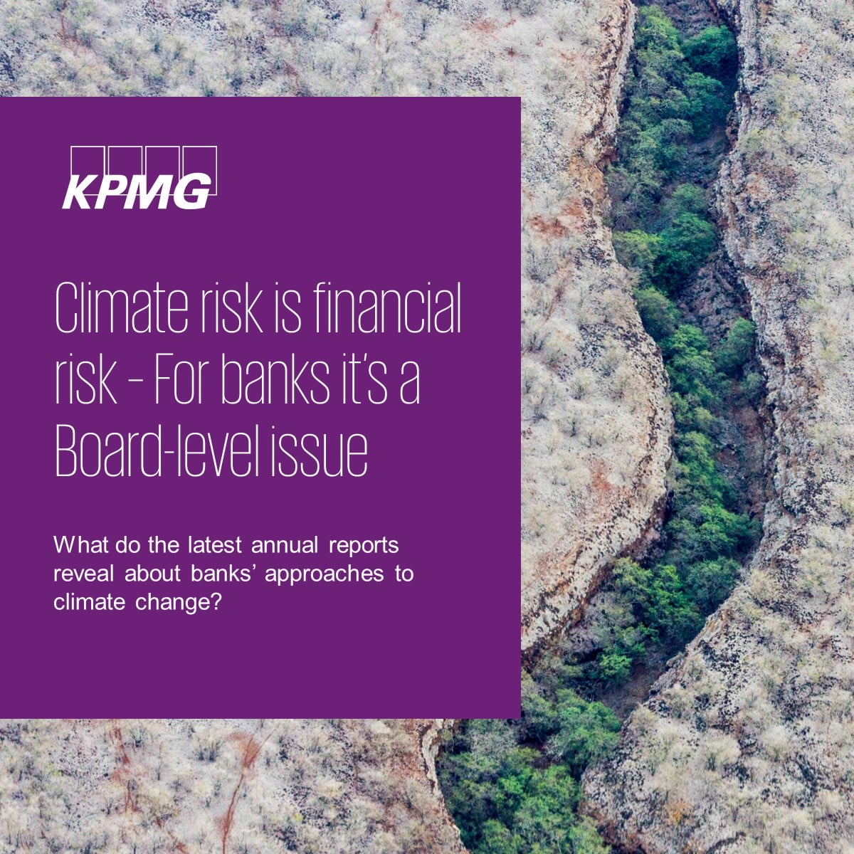 KPMG - Climate change is now a board-level issue for the banking sector ...