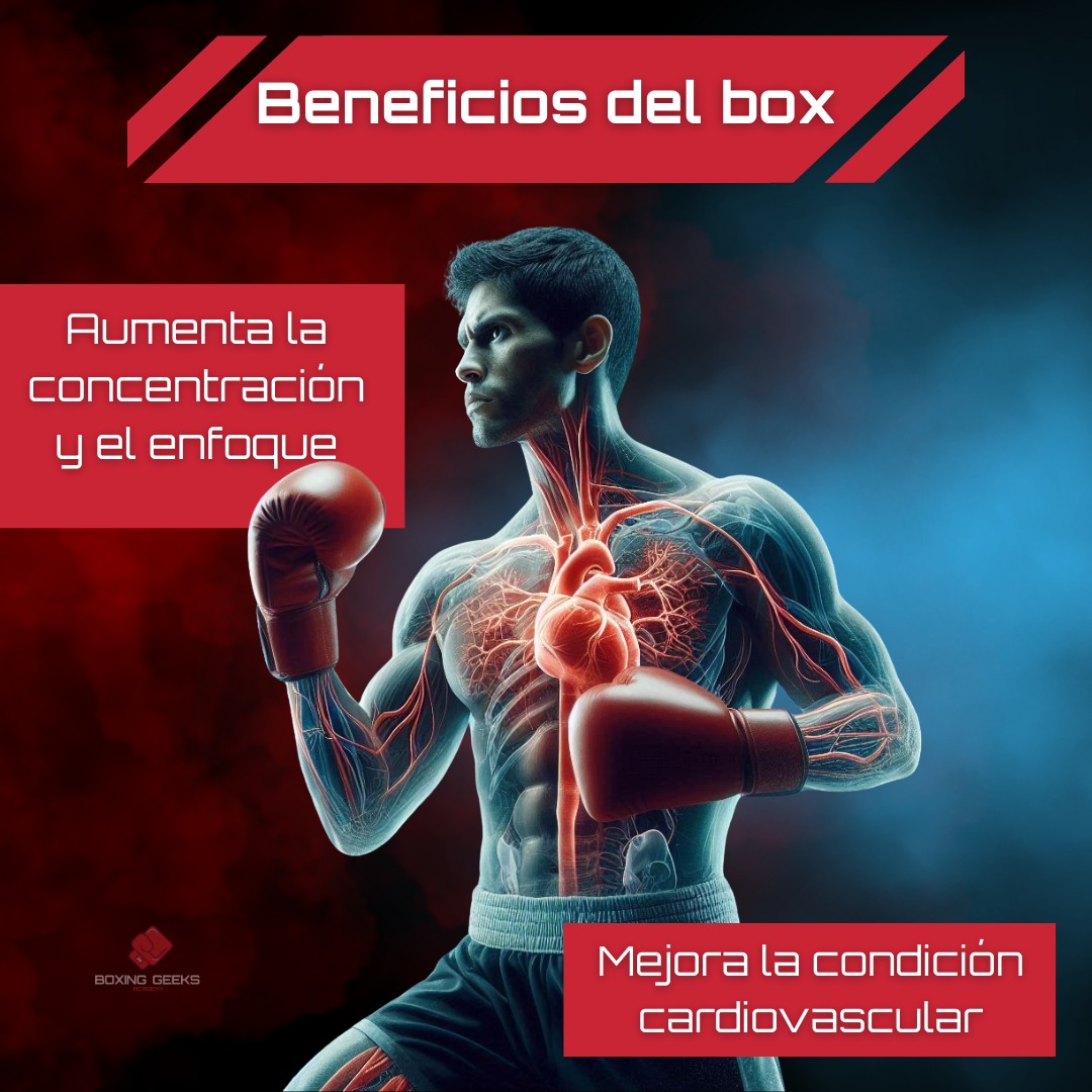 🥊 Transforma tu Vida con los... - Boxing Geeks Academy