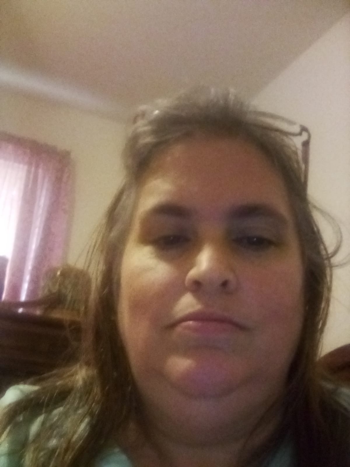 Renee D Palcher