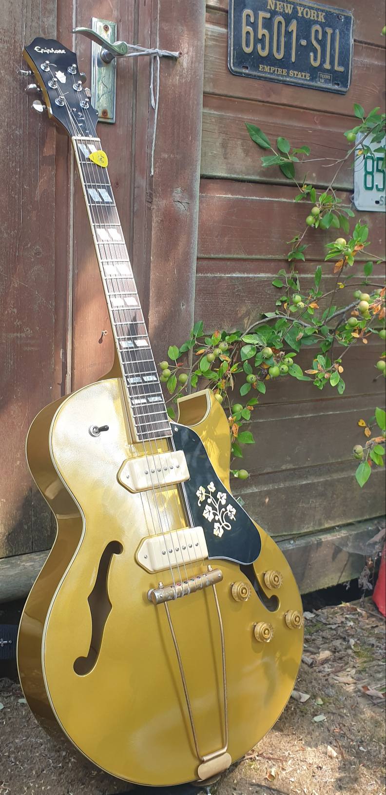 the Epiphone ES 295 fan page | Facebook