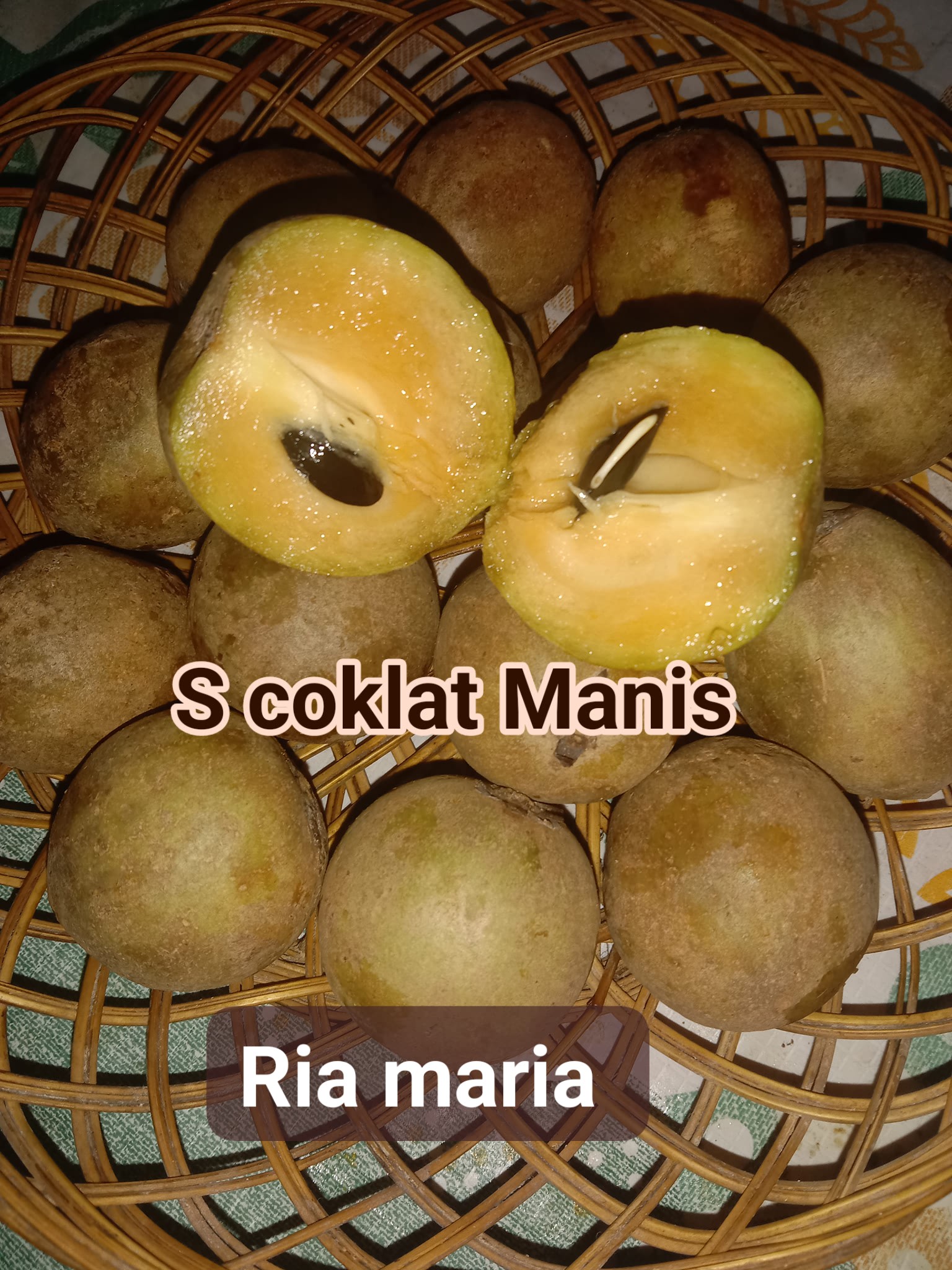 Ria Maria