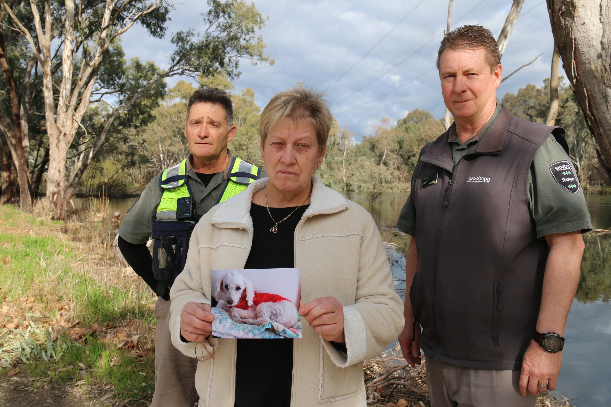 Wodonga Council - Our rangers are seeking witnesses to a...