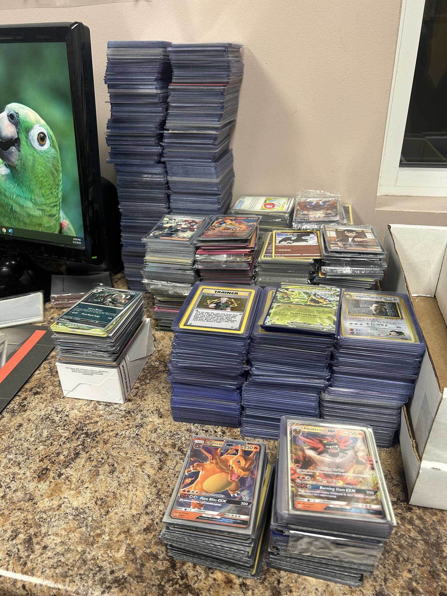 1500 card binder Large-Capacity 540 for Pokemon & TCG making card storage quick and easy. EVORETRO PSA Slab Binder &
