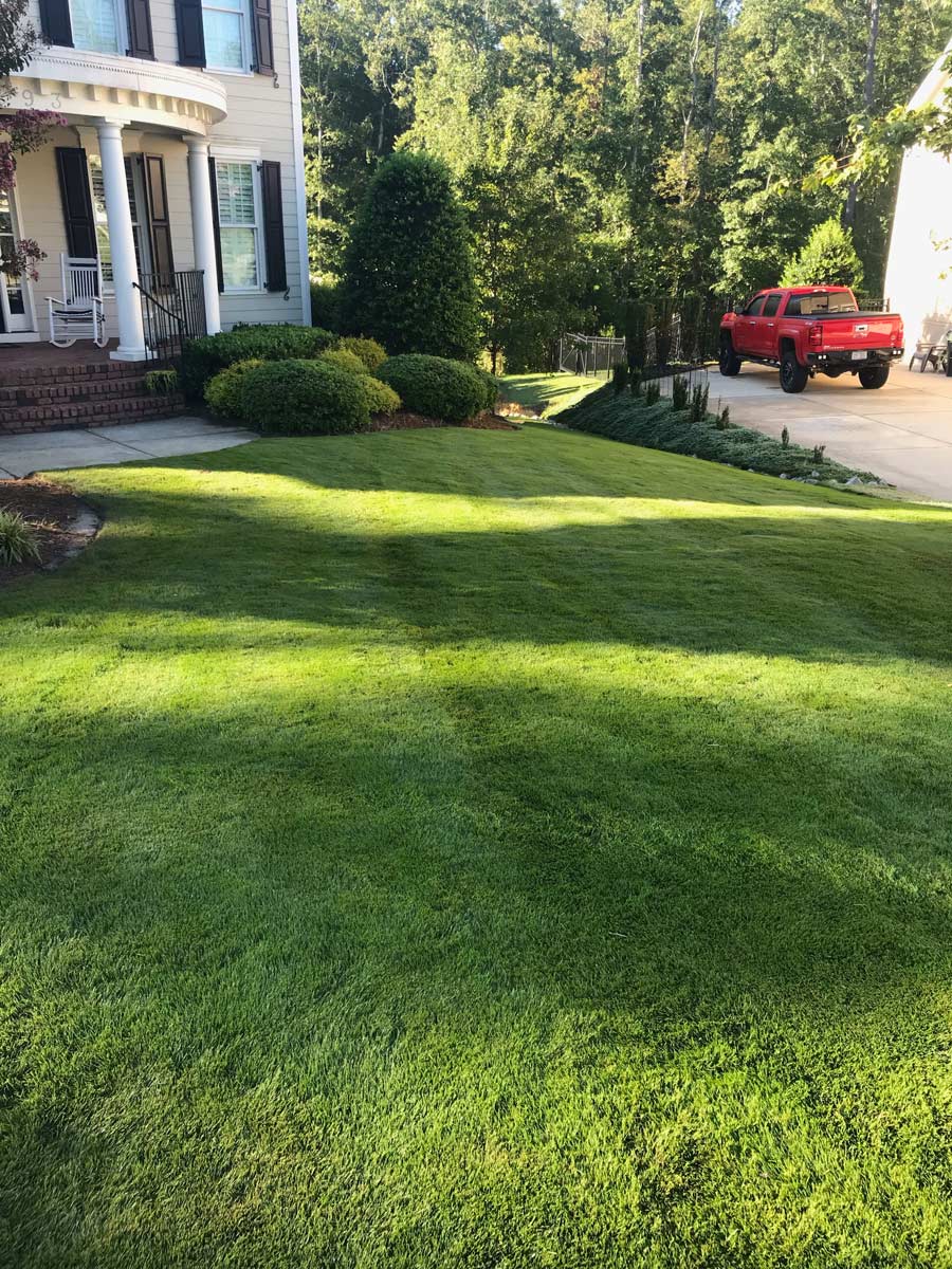 Turf Works | Raleigh NC