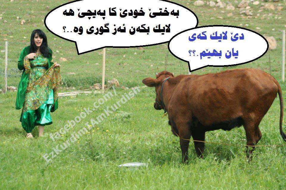 ئــه وخــالين ئـه فـيني بـــــهيز دكــــــه ن - چیروکەکا گەلەک خوش ...