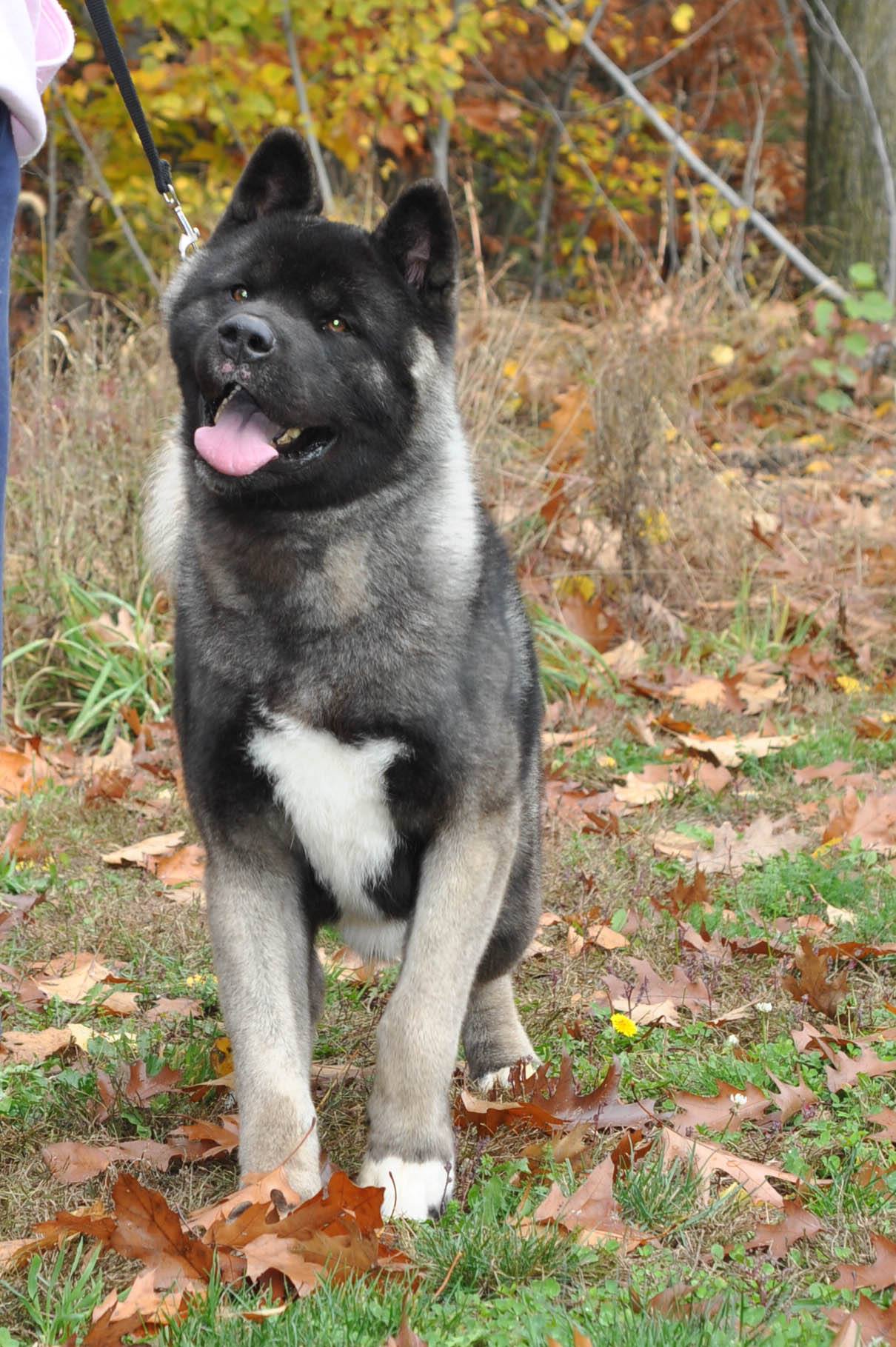 Tammy Patnode | Malone NY