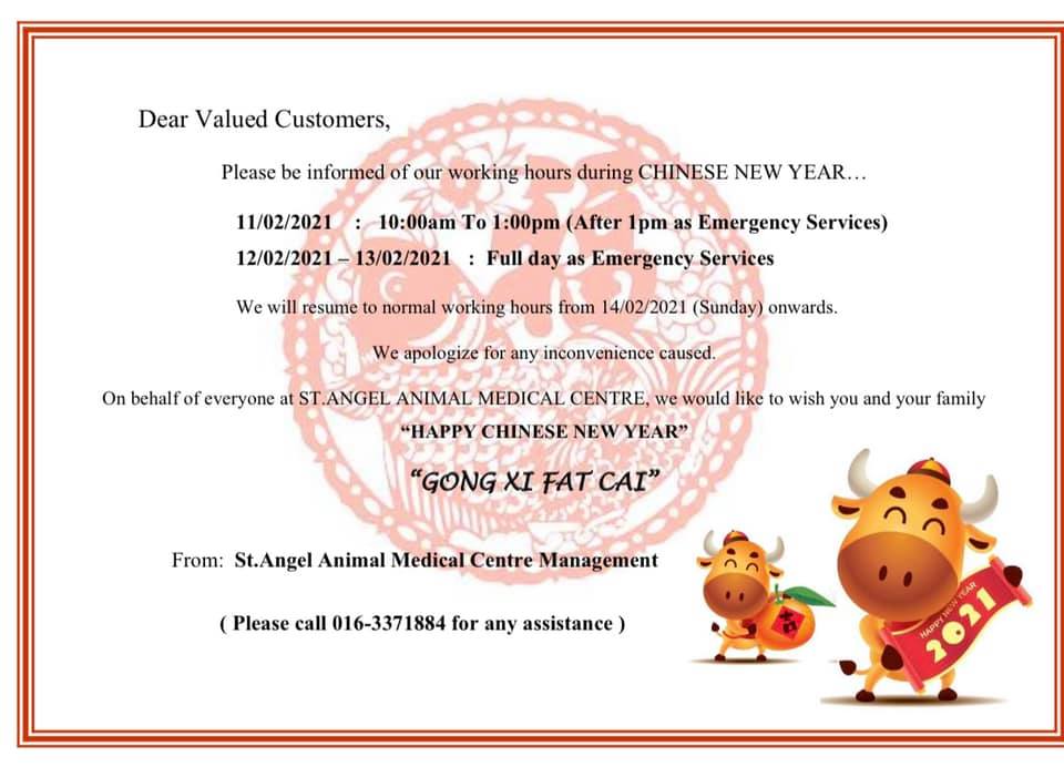 St Angel Animal Medical Centre Home Facebook