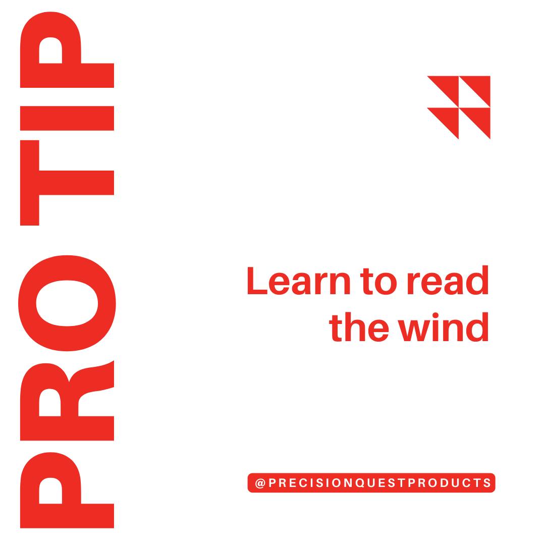 Precision - Learn to read the wind. The bullets used for .22 lr are ...