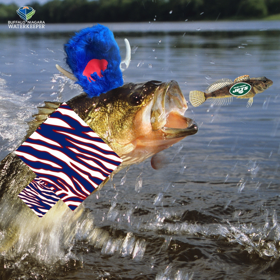 buffalo bills fishing lure Yeck Zipper Bill  Tangled Tackle Co keeping the jig visible and enticing for longer as it sinks OXBORO NFL BUFFALO BILLS VINTAGE