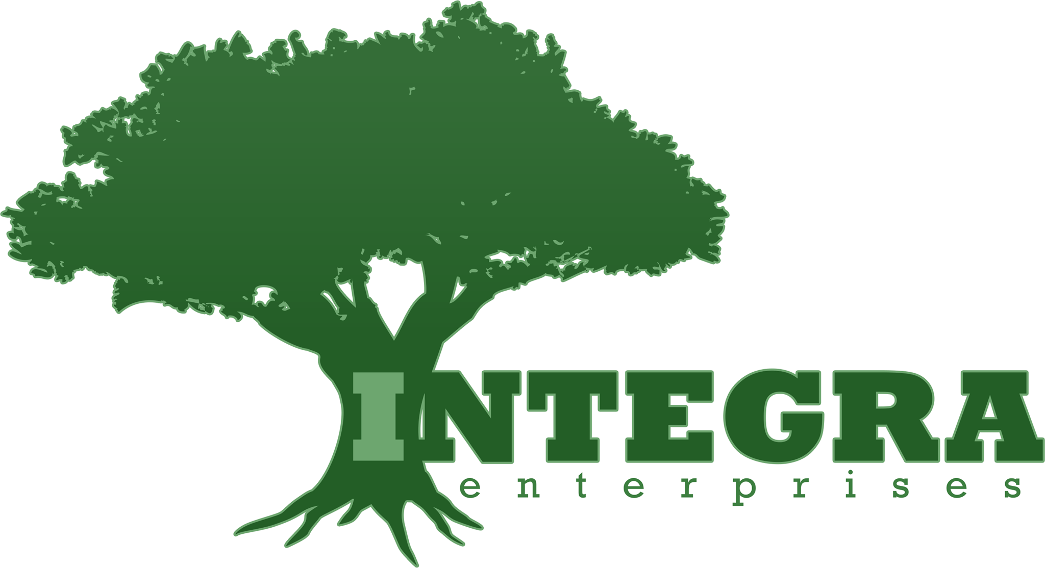 Integra Enterprises LLC