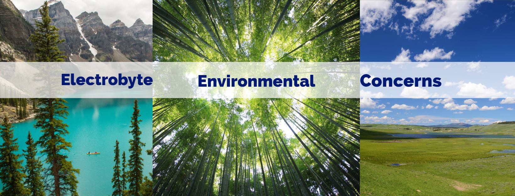 Electrobyte Environmental Concerns Corp. | Makati