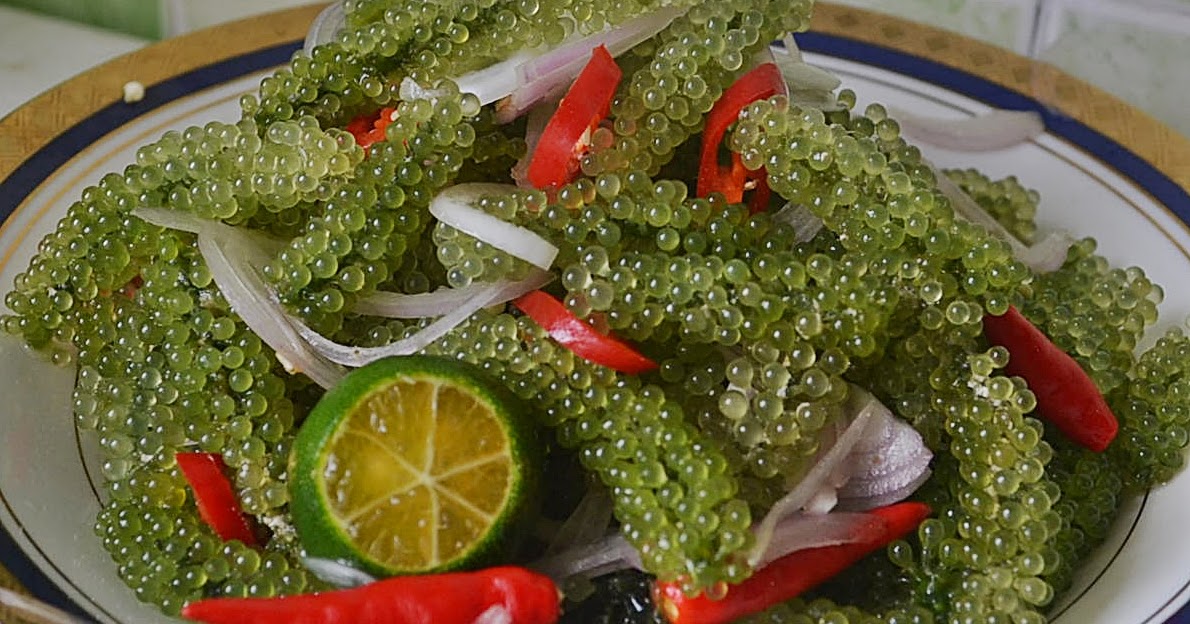 Makanan Dari Sabah Iaitu Latok Pakej Percutian Kuching Facebook