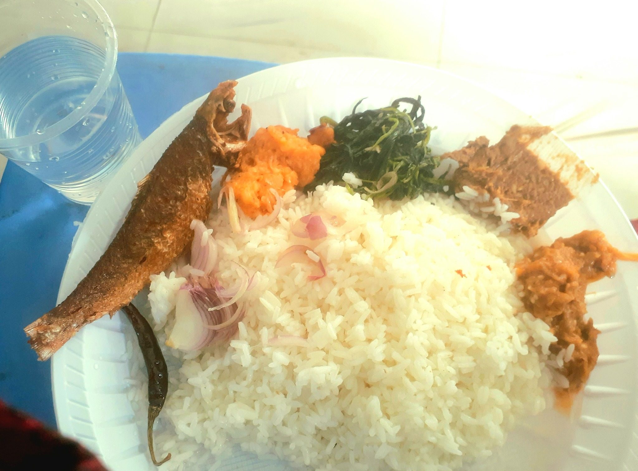 Sabuj Sarkar Ovi