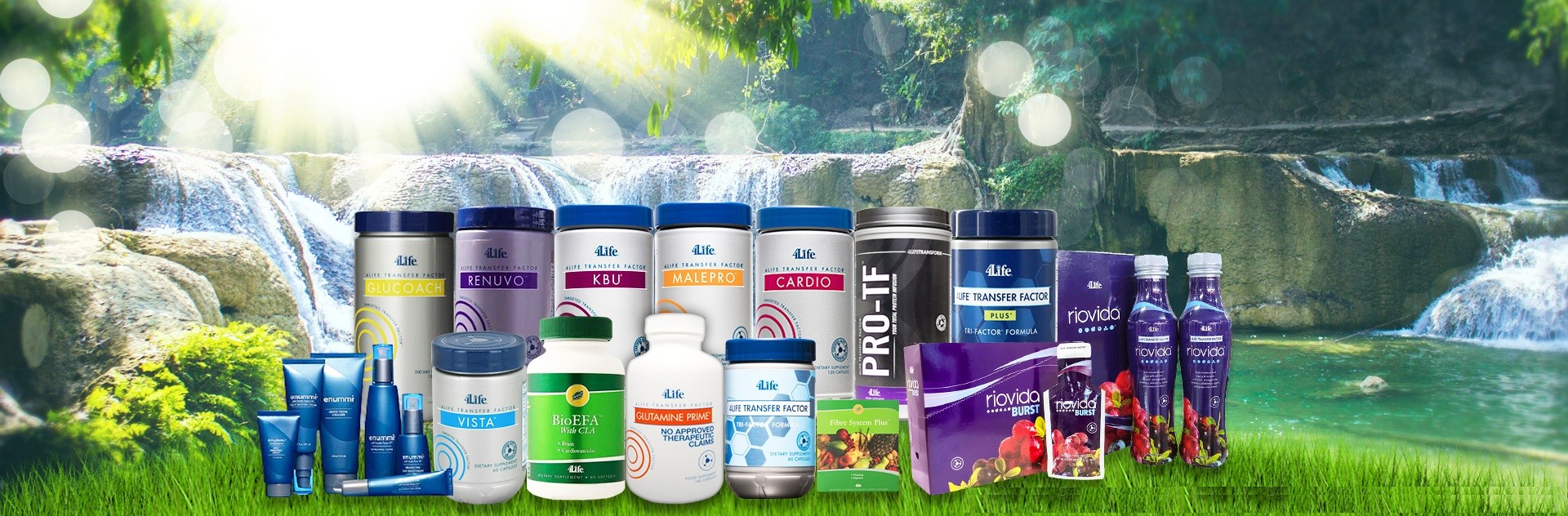 4... - 4Life Transfer Factor the Best Immune System Supplement