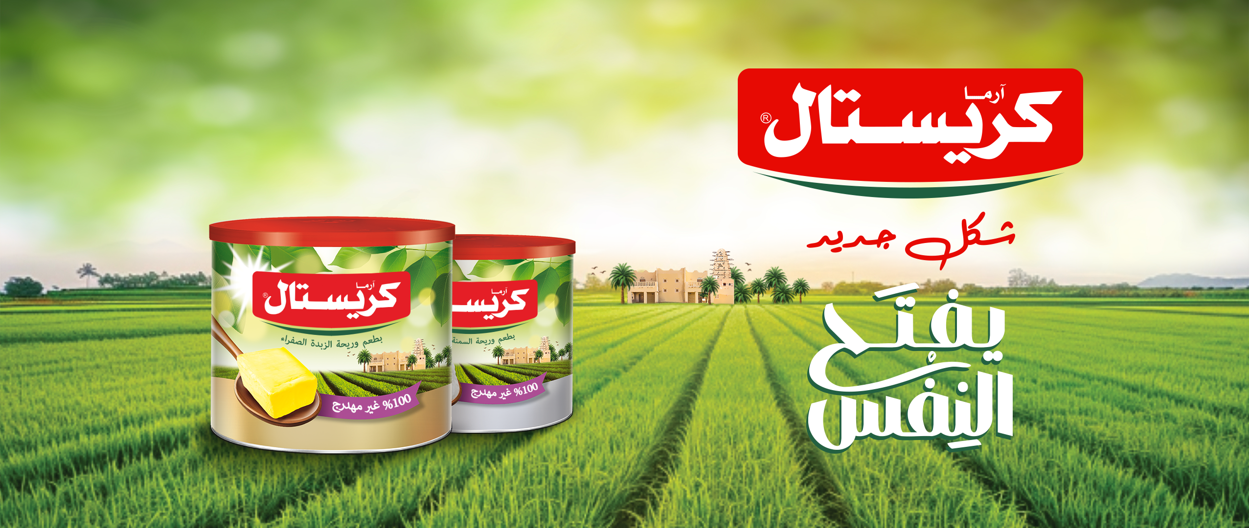 Crystal Ghee سمنة كريستال - في فرق بين انك بتعرفي تطبخي وبين انك بتطبخي ...