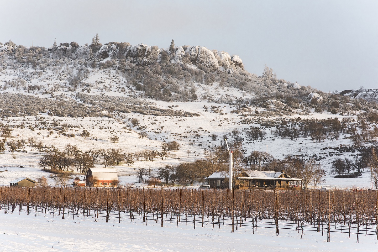 Table Rock Ranch & Vineyard | Central Point OR