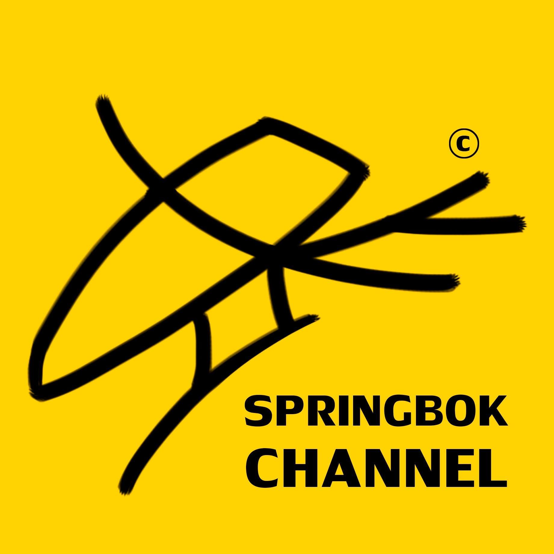 Springbok Channel