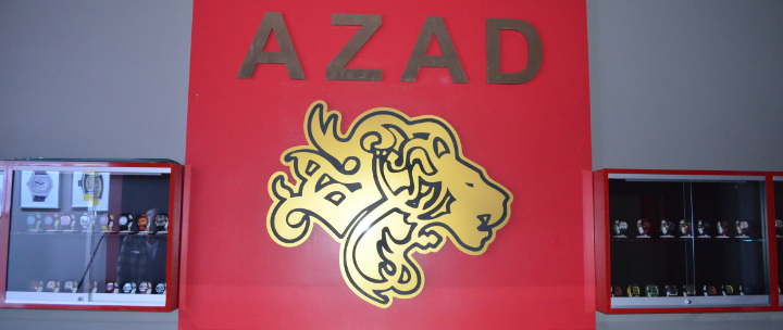 Azad & Co.
