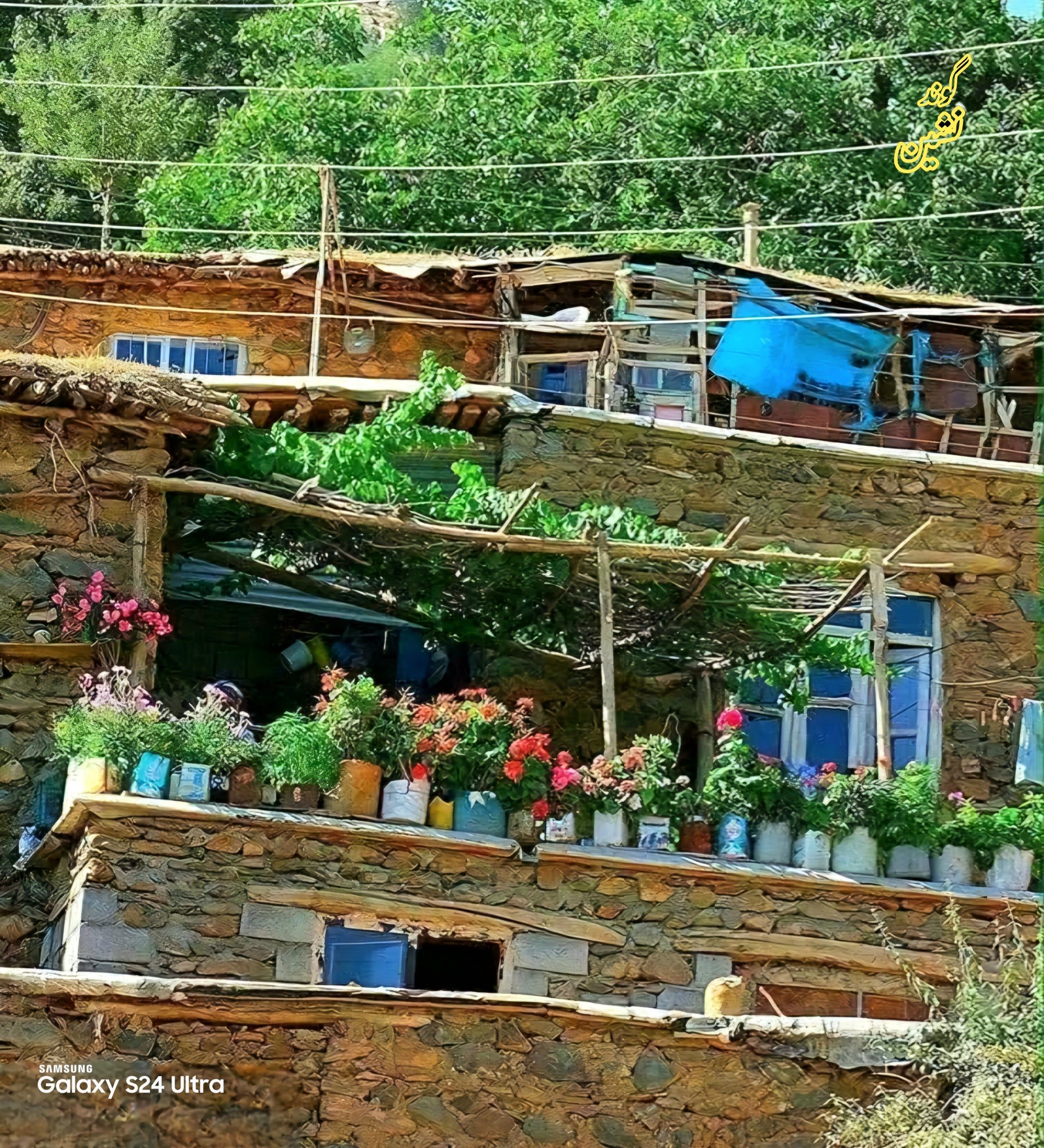 گوند نشين