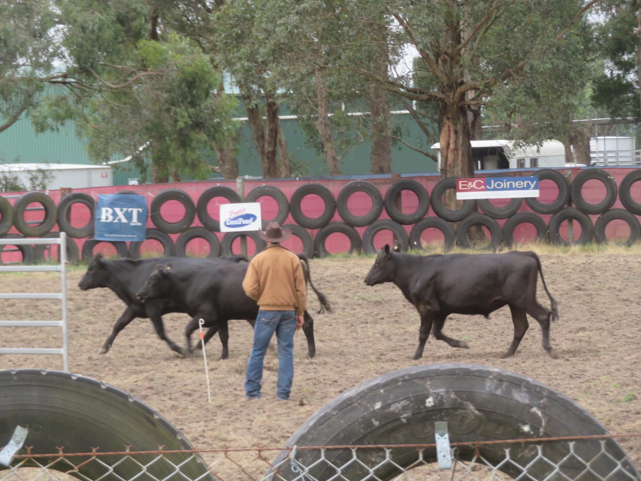 Gippsland... - Gippsland Campdrafting Association