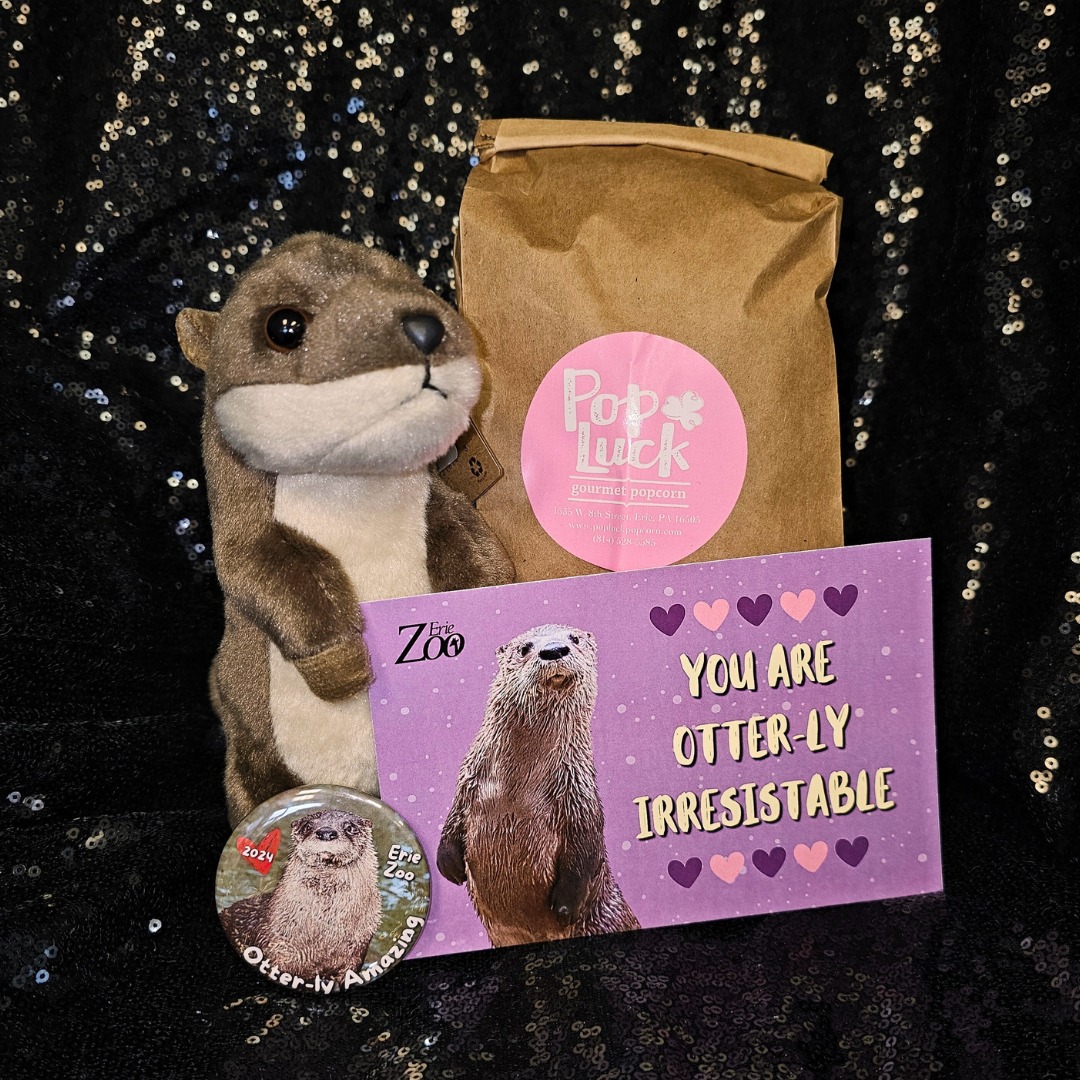 Erie Zoo's Valentine's Day packages for two