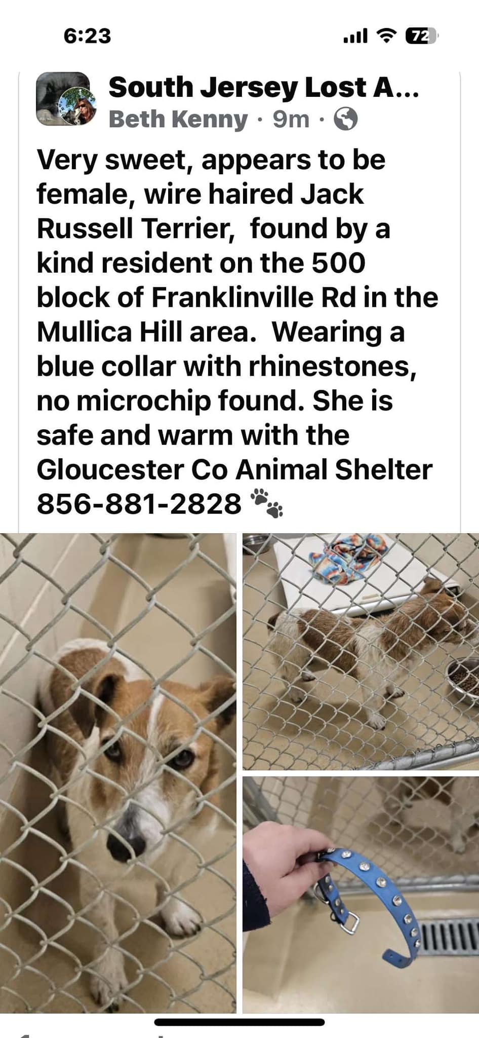 Missy has been found thanks for sharing 👏
