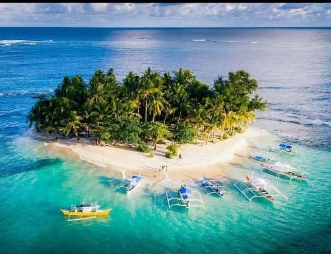 SIARGAO CLASSIFIED BUSINESS 2.0 | kinsay nagpa utang derea ug foam kana ...