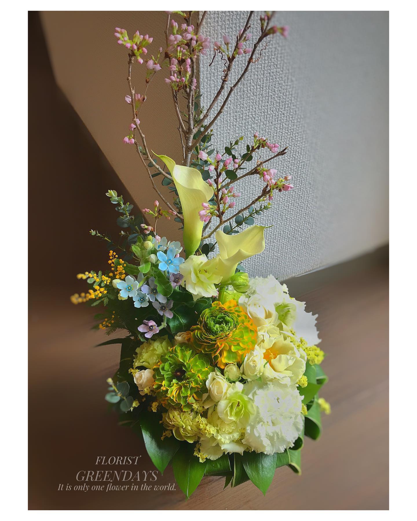 Greendays 絵画展へのお祝いのアレンジ 桜とカラーを添えて Flower Flowers Facebook