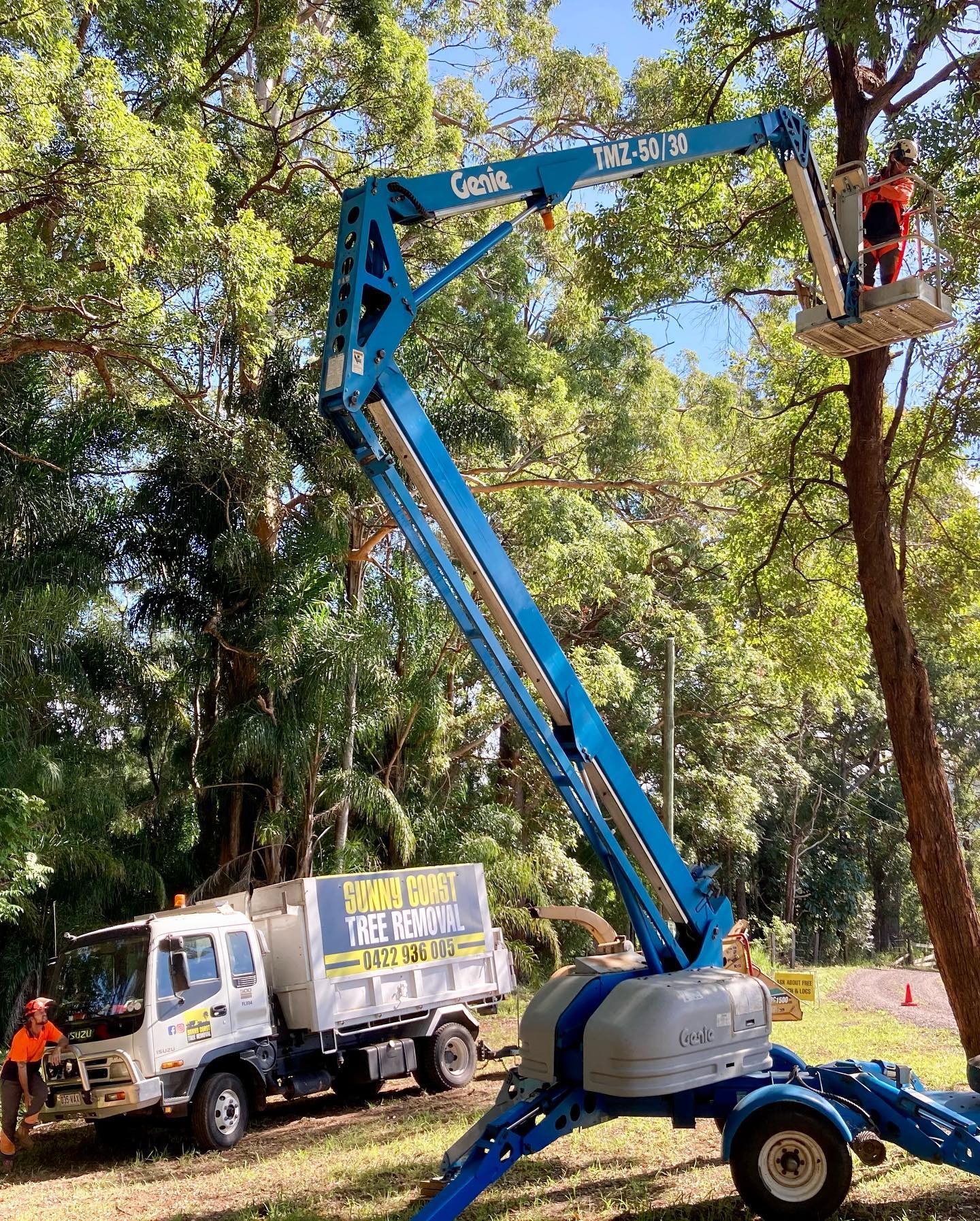 Sunny Coast Tree Removal | Sunshine Coast QLD