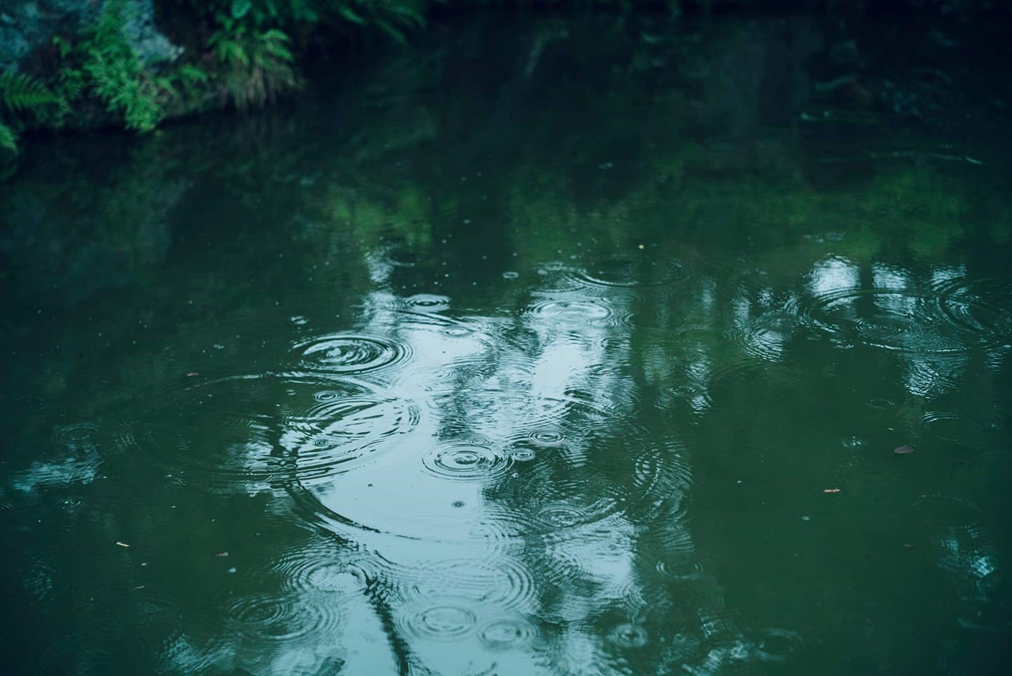 清水寺 - 水を掬すれば月は手に在り 一輪の花、一滴の雨、月日の光 