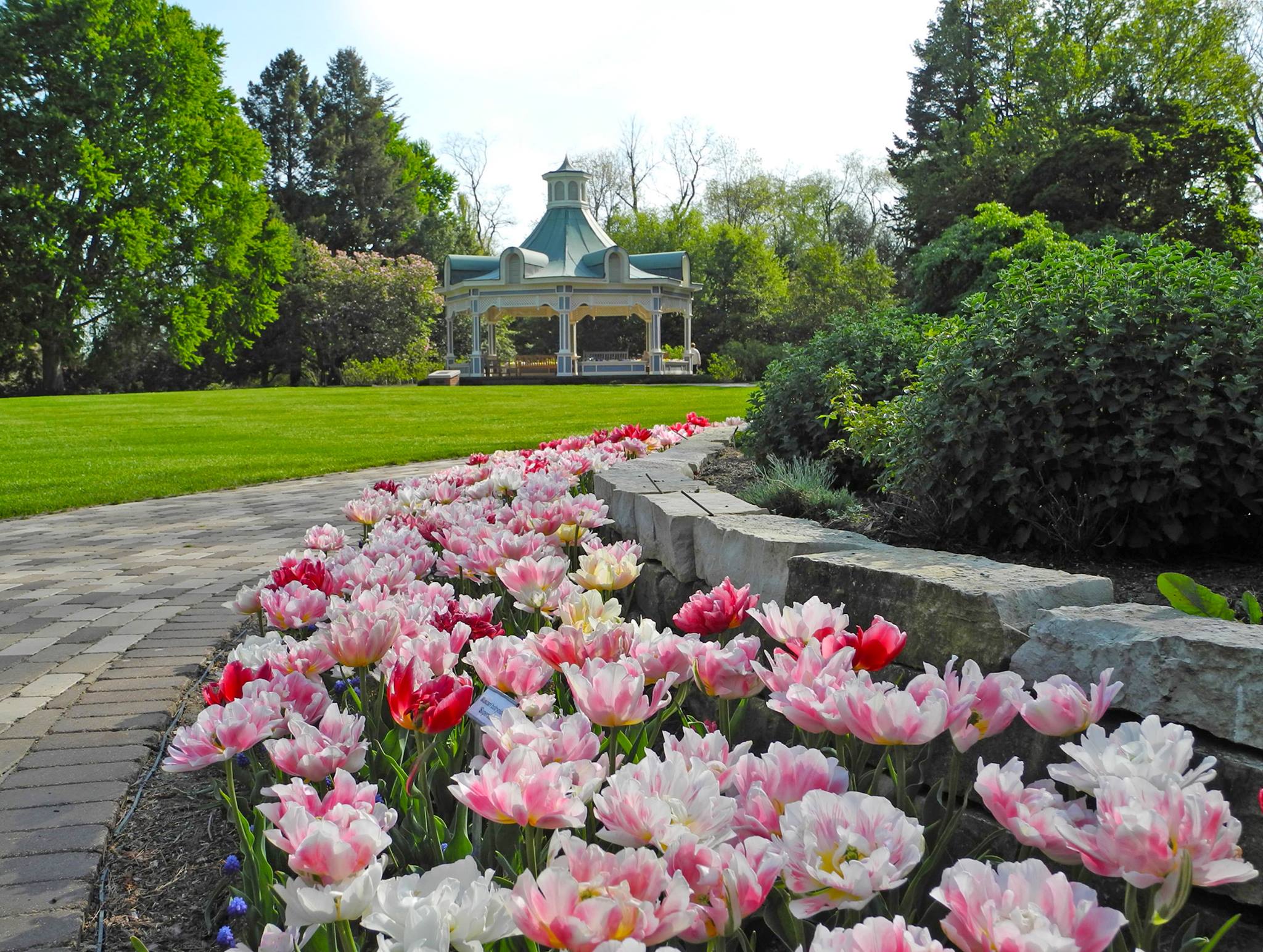 Friends of Fellows Riverside Gardens | Youngstown OH