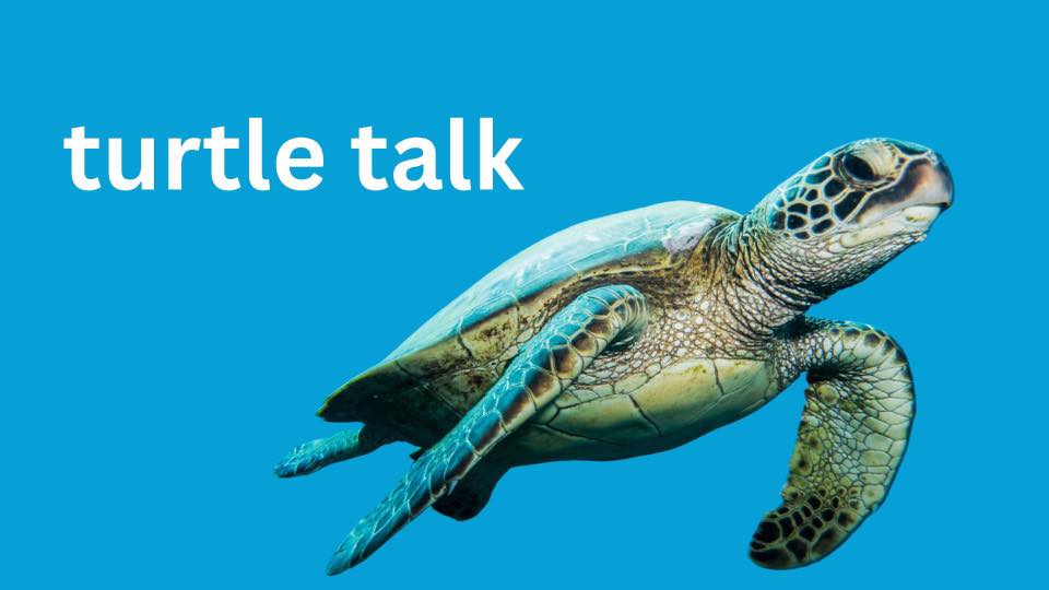 turtle talk | Facebook