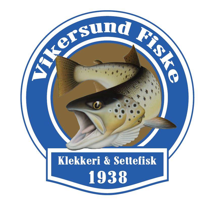 vikersund-fiske-vikersund-fiske-added-a-new-photo
