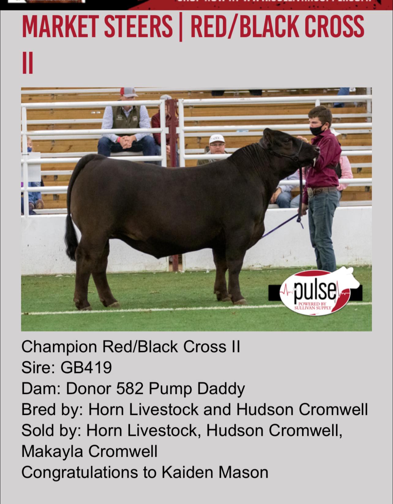 Horn Livestock - San Antonio 2021 was a success for many... | Facebook