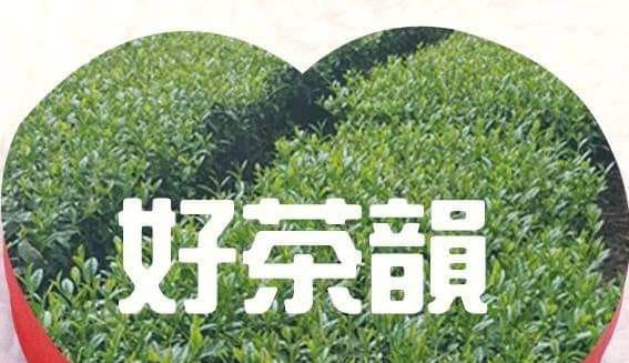 力士製茶所 x 松柏坑潮牌 - 丁酉年松柏坑遶境紀念T已陸續出貨，面交的朋友敬請提錢取貨喔！ 感謝大家這幾年的支持，我們太不自量力了，說好 ...