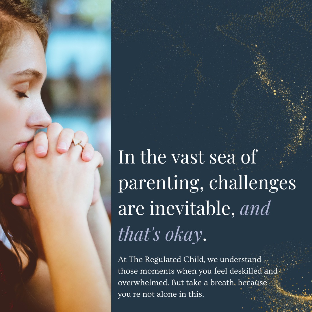 In the vast sea of parenting,... - The Regulated Child | Facebook