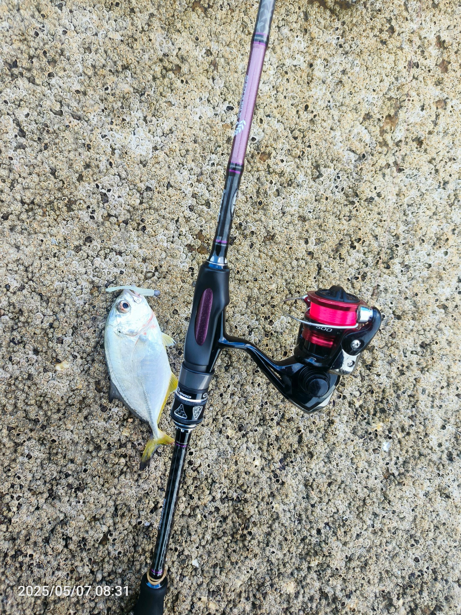 centerpin fly rods and reels for sale Pinland 3WT Ultralight Trout Kenai Edition Combo Model:VTS73MXF Aircraft grade aluminum Integral Shimano fishing Beastmaster Lure Favorite Fly Rod Outfits > Saltwater Outfits