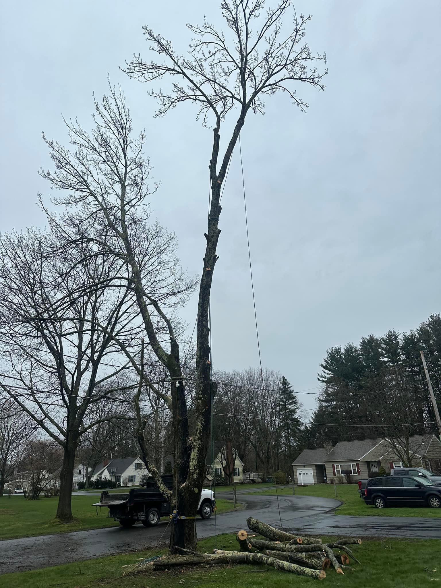 Ballston Tree & Property Services | Ballston Spa NY