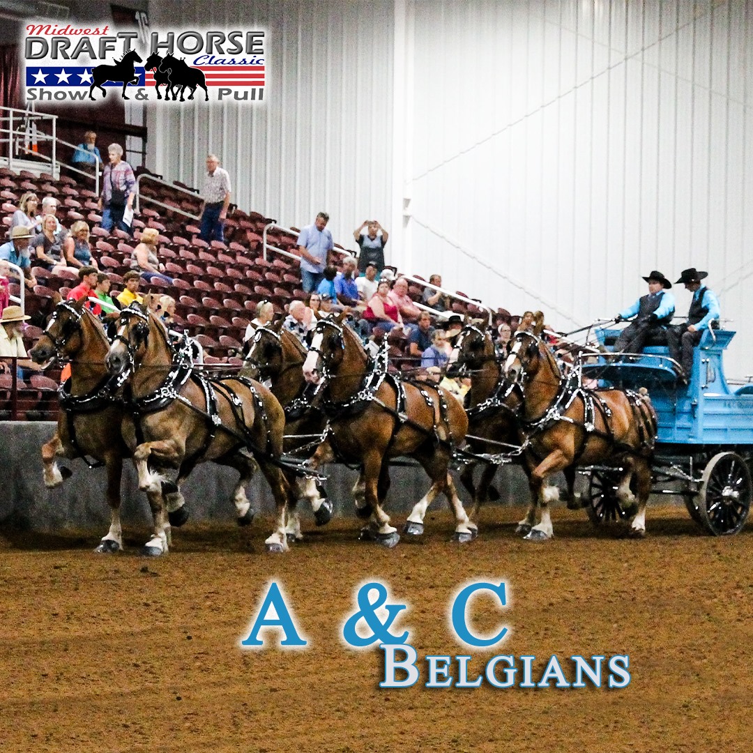 *Midwest Classic... - Midwest Draft Horse Classic Show & Pull