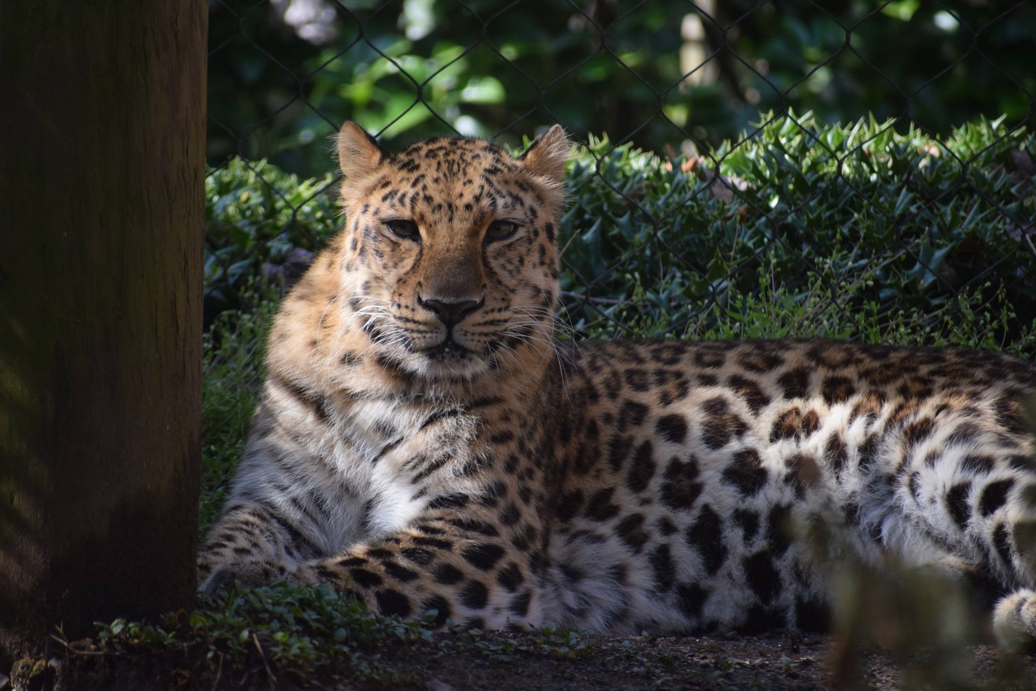 AZADV - Association of Zoo and Aquarium Docents and Volunteers
