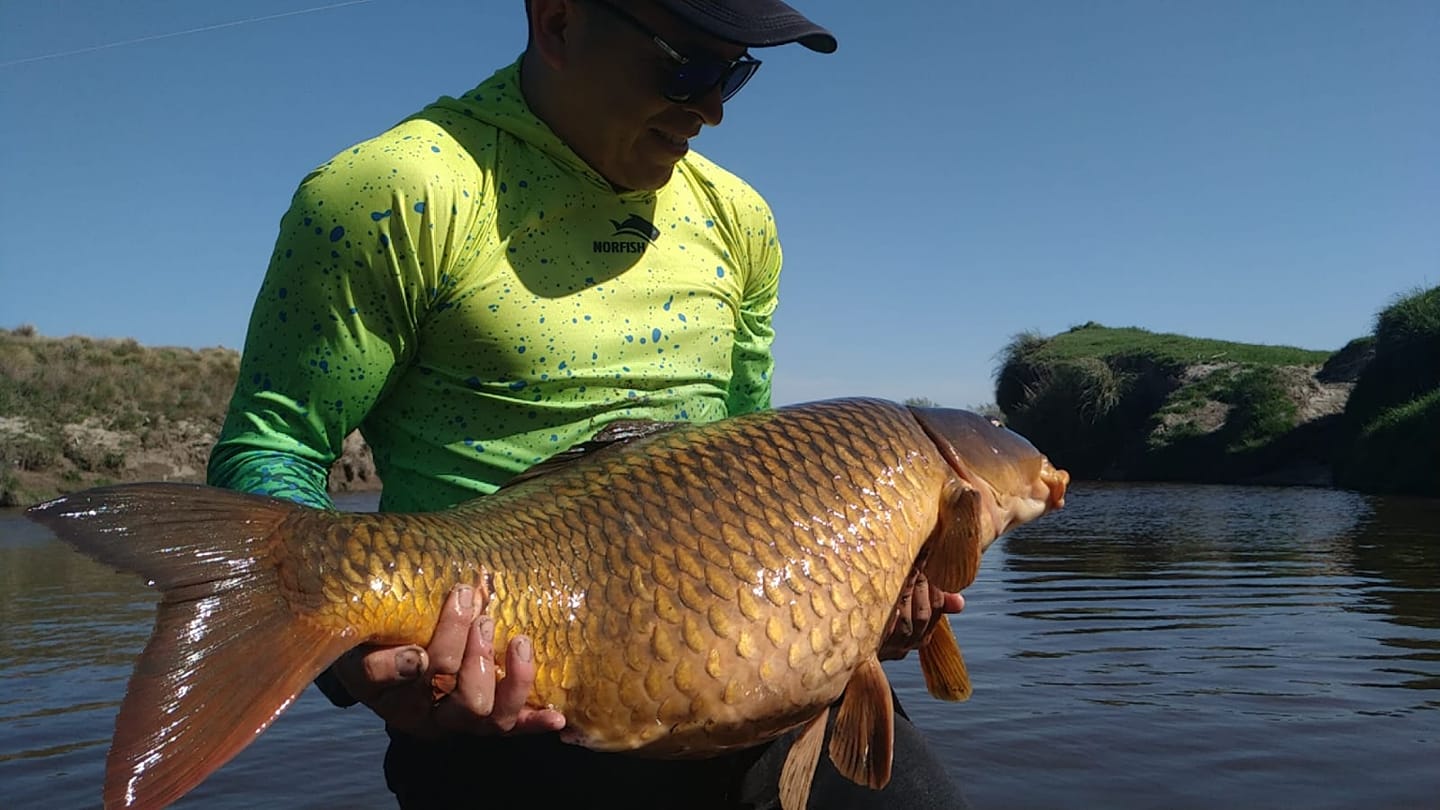 Pesca de carpas | Quilmes