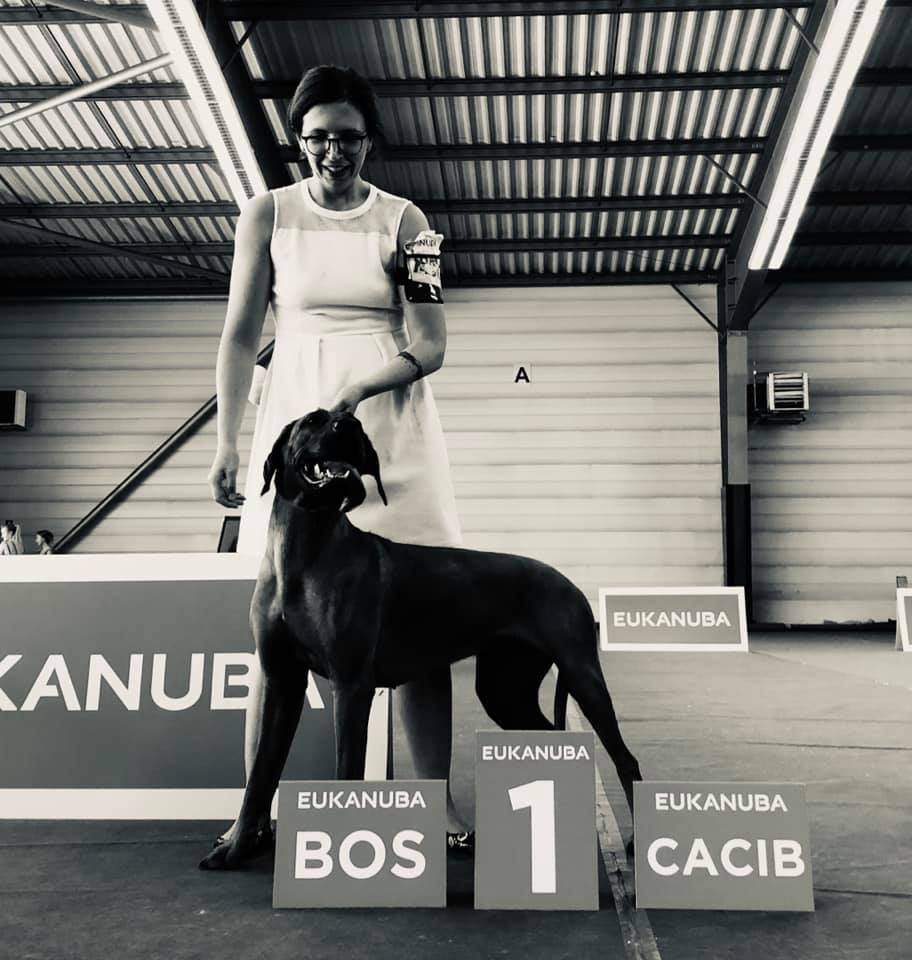 Rhodesian Ridgeback Kennel of Mombasa - Kwelanga