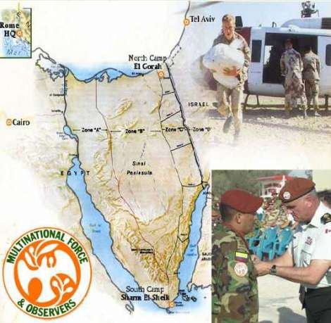 Multinational Force and Observers