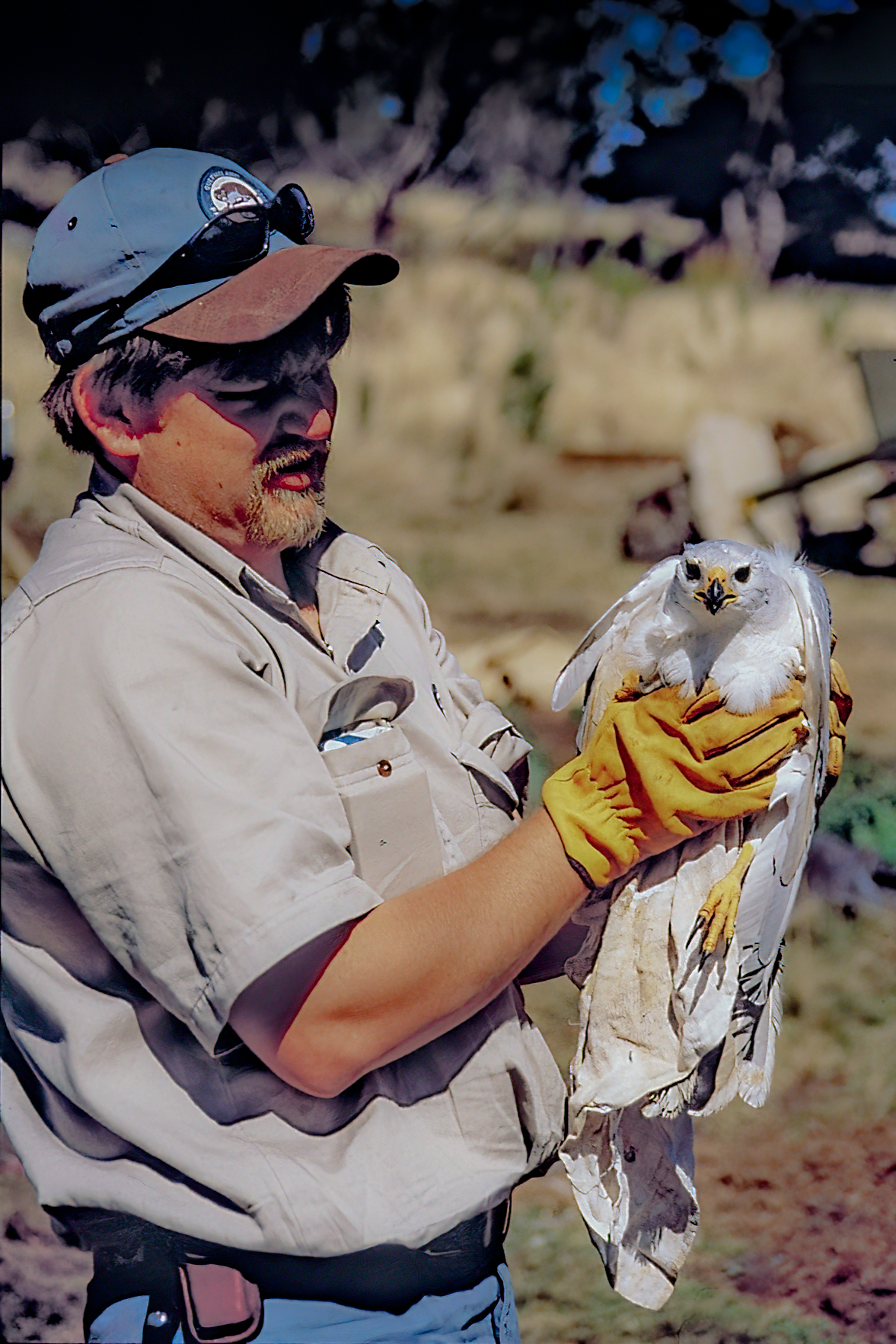 Twenty-seven years as a QPWS... - Queensland National Parks | Facebook