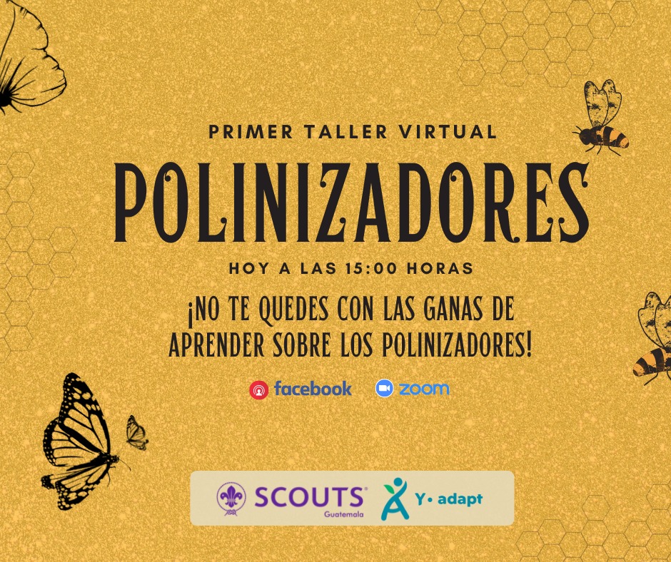 Y-Adapt - ¡Llegó el gran día para aprender! Conoce la importancia de ...