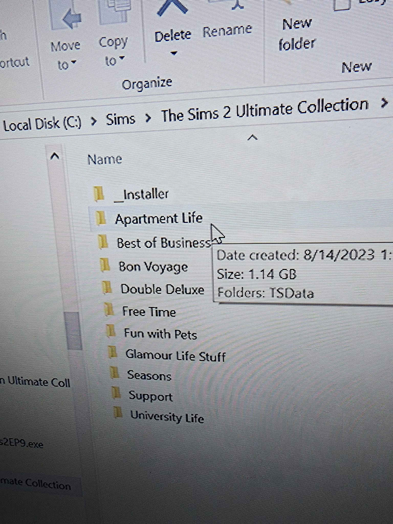 Sims 2 missing folders, where are they?